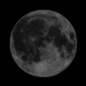 Meet your Posher, Ji-ho